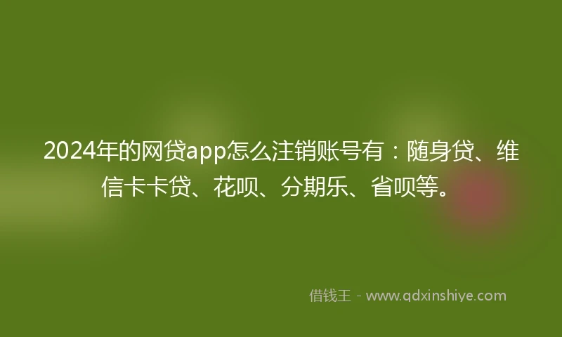 2024年的网贷app怎么注销账号有：随身贷、维信卡卡贷、花呗、分期乐、省呗等。