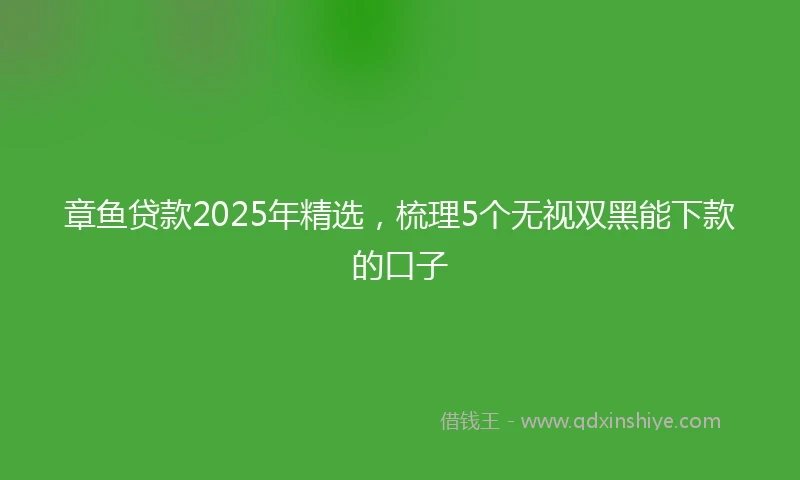 章鱼贷款2025年精选，梳理5个无视双黑能下款的口子