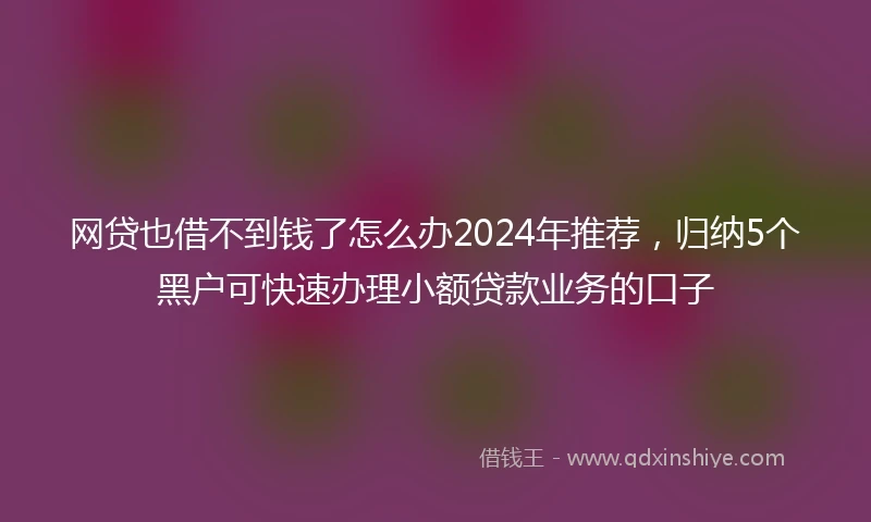 网贷也借不到钱了怎么办2024年推荐，归纳5个黑户可快速办理小额贷款业务的口子