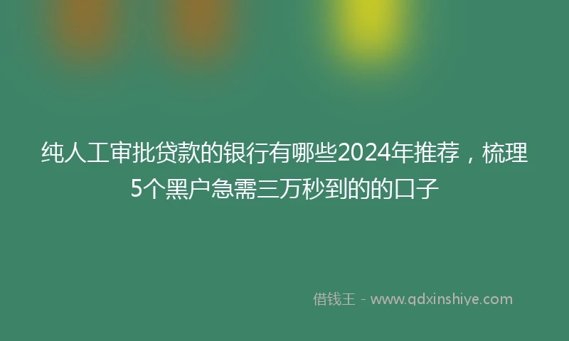 纯人工审批贷款的银行有哪些2024年推荐，梳理5个黑户急需三万秒到的的口子