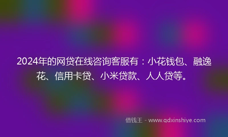 2024年的网贷在线咨询客服有：小花钱包、融逸花、信用卡贷、小米贷款、人人贷等。