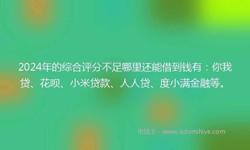 2024年的综合评分不足哪里还能借到钱有：你我贷、花呗、小米贷款、人人贷、度小满金融等。