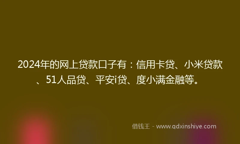 2024年的网上贷款口子有：信用卡贷、小米贷款、51人品贷、平安i贷、度小满金融等。