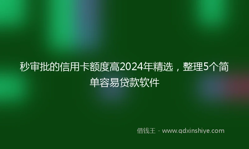 秒审批的信用卡额度高2024年精选，整理5个简单容易贷款软件