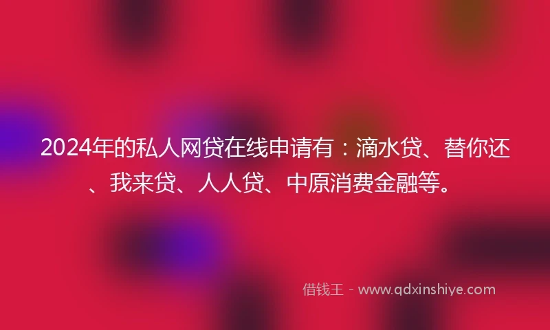 2024年的私人网贷在线申请有：滴水贷、替你还、我来贷、人人贷、中原消费金融等。