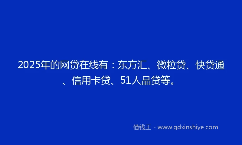 2025年的网贷在线有：东方汇、微粒贷、快贷通、信用卡贷、51人品贷等。