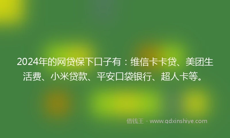 2024年的网贷保下口子有：维信卡卡贷、美团生活费、小米贷款、平安口袋银行、超人卡等。