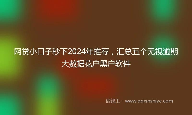 网贷小口子秒下2024年推荐，汇总五个无视逾期大数据花户黑户软件