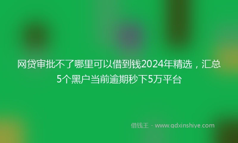 网贷审批不了哪里可以借到钱2024年精选，汇总5个黑户当前逾期秒下5万平台