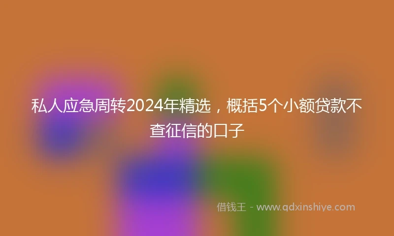 私人应急周转2024年精选，概括5个小额贷款不查征信的口子