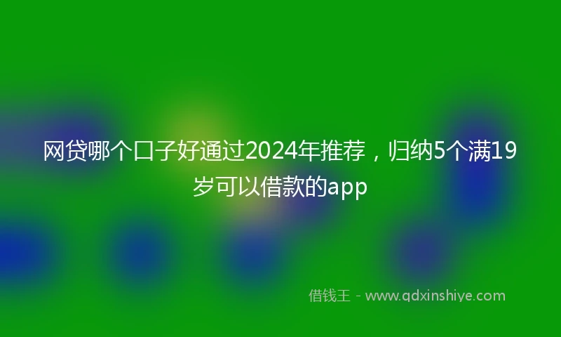 网贷哪个口子好通过2024年推荐，归纳5个满19岁可以借款的app