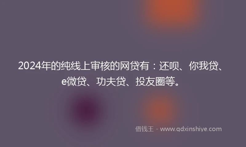 2024年的纯线上审核的网贷有：还呗、你我贷、e微贷、功夫贷、投友圈等。