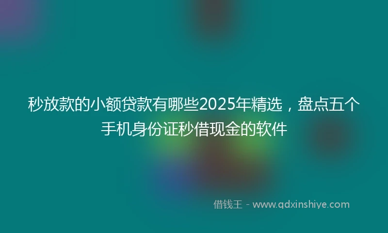 秒放款的小额贷款有哪些2025年精选，盘点五个手机身份证秒借现金的软件