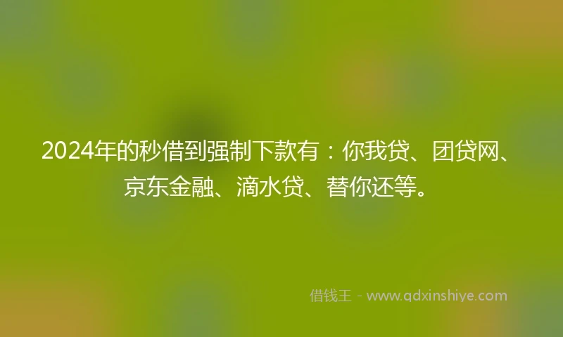 2024年的秒借到强制下款有：你我贷、团贷网、京东金融、滴水贷、替你还等。