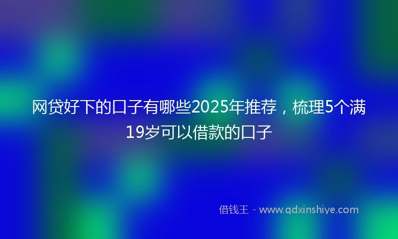 网贷好下的口子有哪些2025年推荐，梳理5个满19岁可以借款的口子