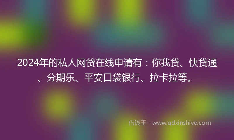 2024年的私人网贷在线申请有：你我贷、快贷通、分期乐、平安口袋银行、拉卡拉等。