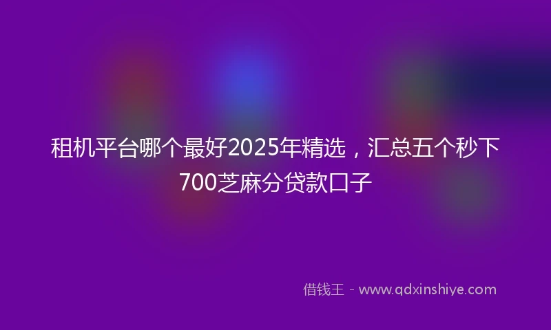 租机平台哪个最好2025年精选，汇总五个秒下700芝麻分贷款口子