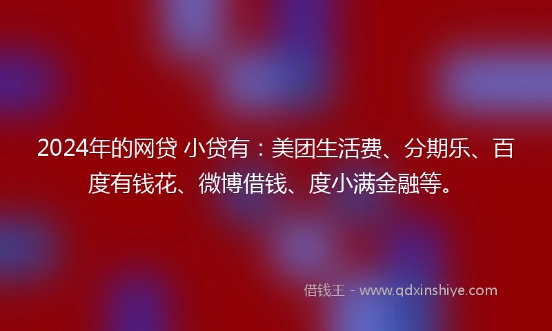 2024年的网贷 小贷有：美团生活费、分期乐、百度有钱花、微博借钱、度小满金融等。
