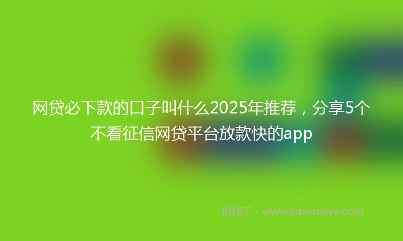 网贷必下款的口子叫什么2025年推荐，分享5个不看征信网贷平台放款快的app