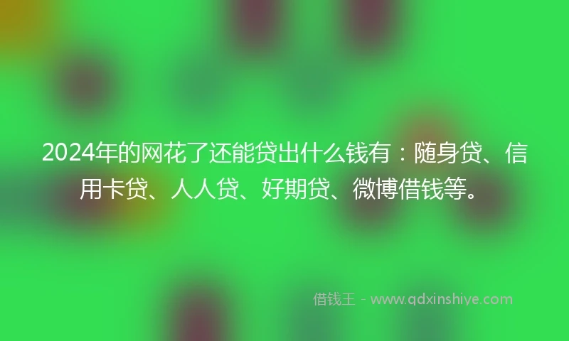 2024年的网花了还能贷出什么钱有：随身贷、信用卡贷、人人贷、好期贷、微博借钱等。