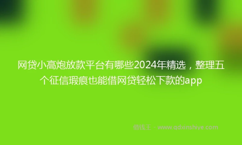 网贷小高炮放款平台有哪些2024年精选，整理五个征信瑕疵也能借网贷轻松下款的app