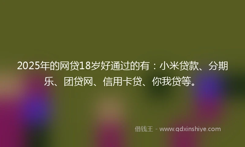 2025年的网贷18岁好通过的有：小米贷款、分期乐、团贷网、信用卡贷、你我贷等。