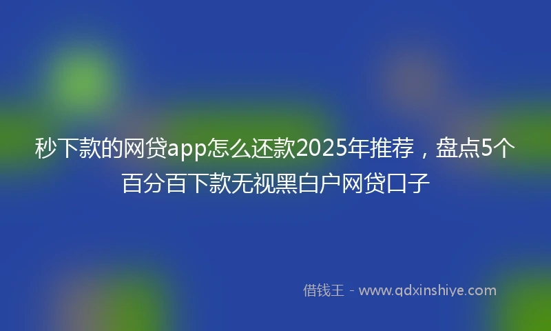 秒下款的网贷app怎么还款2025年推荐，盘点5个百分百下款无视黑白户网贷口子