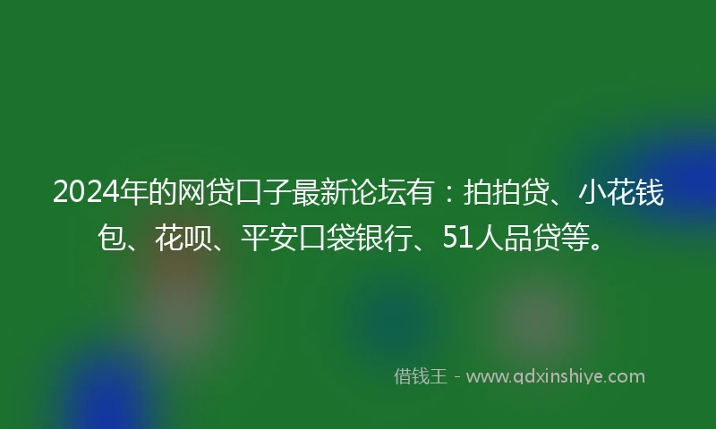 2024年的网贷口子最新论坛有：拍拍贷、小花钱包、花呗、平安口袋银行、51人品贷等。