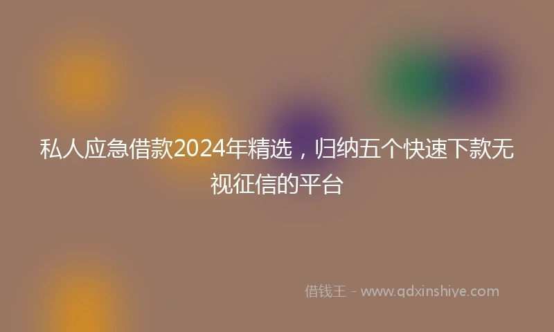 私人应急借款2024年精选，归纳五个快速下款无视征信的平台
