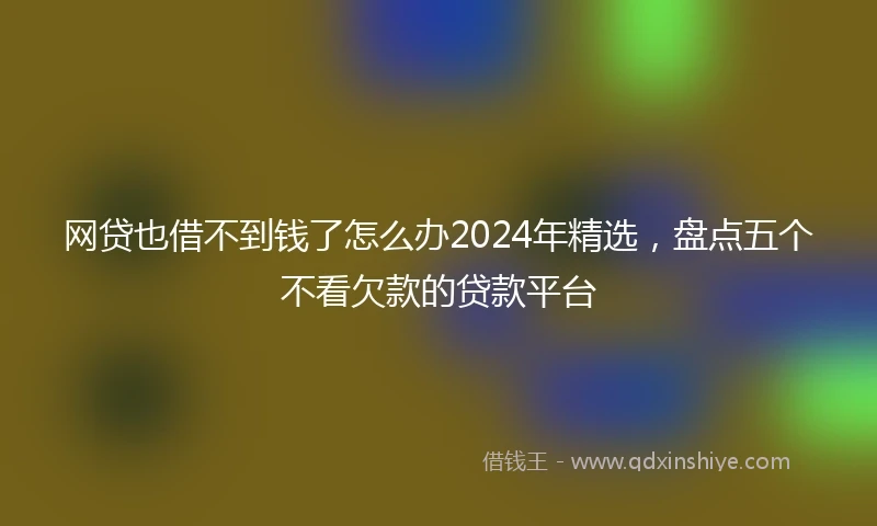 网贷也借不到钱了怎么办2024年精选，盘点五个不看欠款的贷款平台