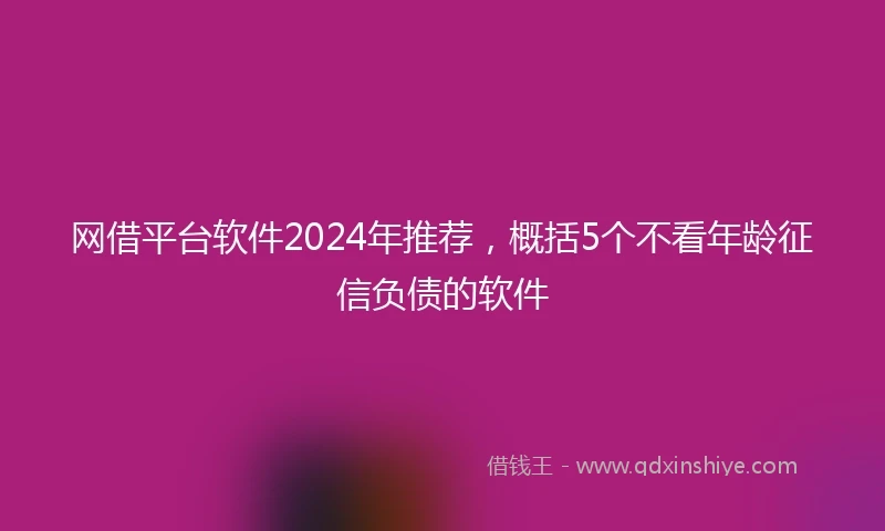 网借平台软件2024年推荐，概括5个不看年龄征信负债的软件
