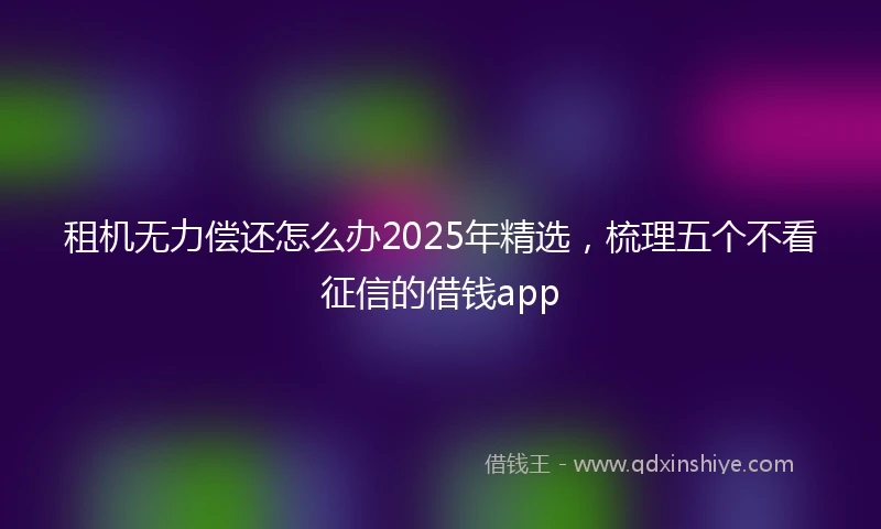 租机无力偿还怎么办2025年精选，梳理五个不看征信的借钱app