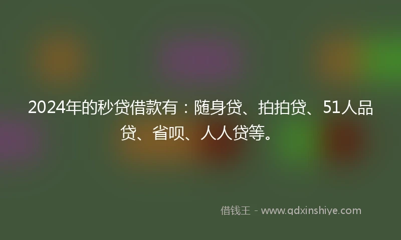 2024年的秒贷借款有：随身贷、拍拍贷、51人品贷、省呗、人人贷等。
