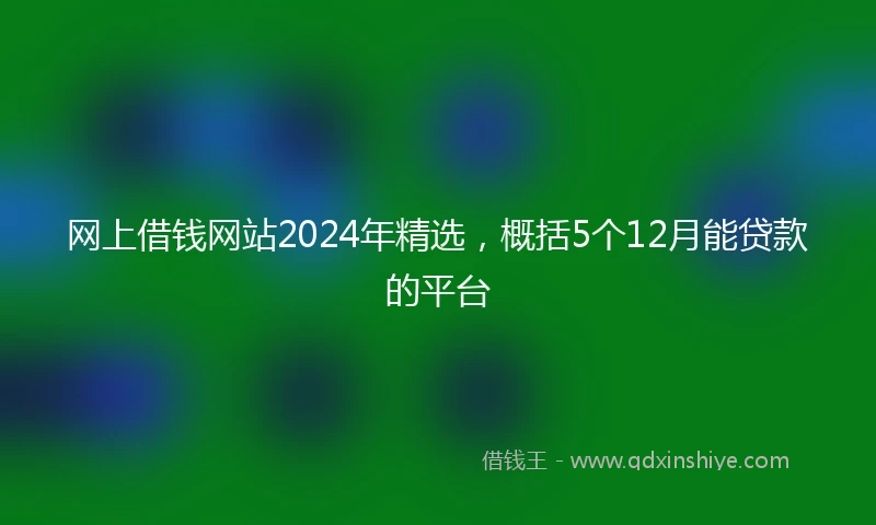网上借钱网站2024年精选，概括5个12月能贷款的平台