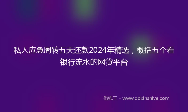 私人应急周转五天还款2024年精选，概括五个看银行流水的网贷平台