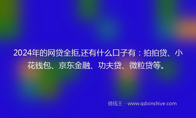 2024年的网贷全拒,还有什么口子有：拍拍贷、小花钱包、京东金融、功夫贷、微粒贷等。
