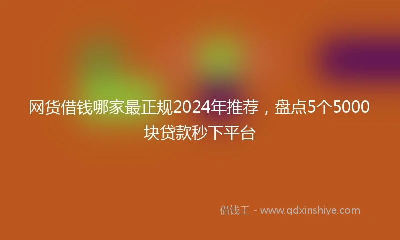 网货借钱哪家最正规2024年推荐，盘点5个5000块贷款秒下平台