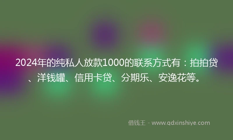 2024年的纯私人放款1000的联系方式有：拍拍贷、洋钱罐、信用卡贷、分期乐、安逸花等。