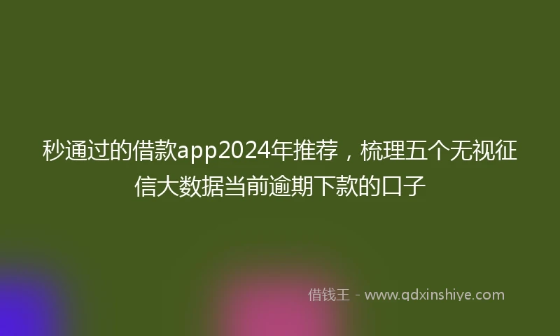 秒通过的借款app2024年推荐,梳理五个无视征信大数据当前逾期下款的口子
