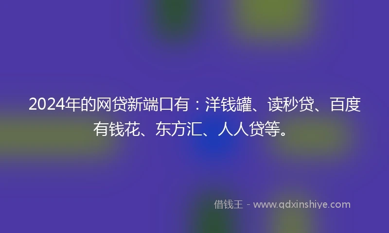 2024年的网贷新端口有：洋钱罐、读秒贷、百度有钱花、东方汇、人人贷等。