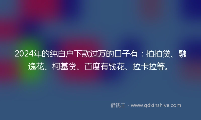 2024年的纯白户下款过万的口子有:拍拍贷、融逸花、柯基贷、百度有钱花、拉卡拉等。