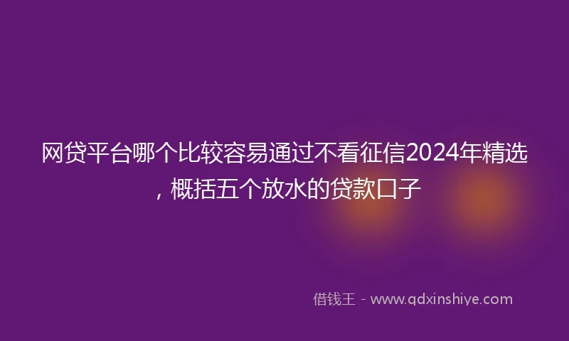 网贷平台哪个比较容易通过不看征信2024年精选，概括五个放水的贷款口子
