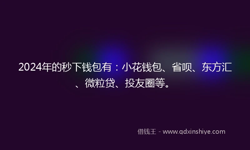 2024年的秒下钱包有：小花钱包、省呗、东方汇、微粒贷、投友圈等。