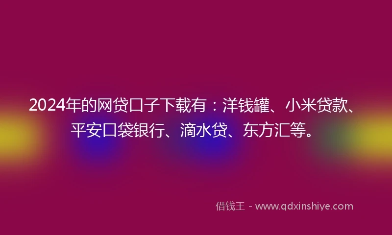 2024年的网贷口子下载有:洋钱罐、小米贷款、平安口袋银行、滴水贷、东方汇等。