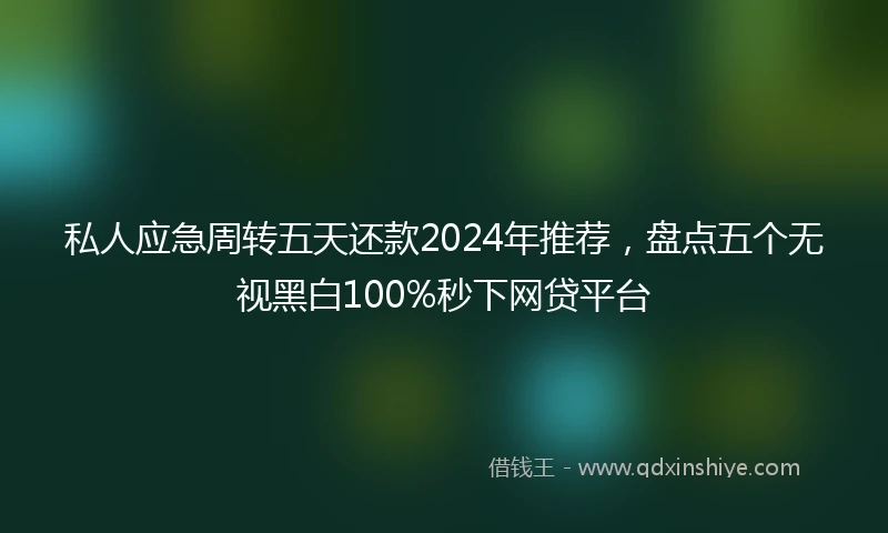 私人应急周转五天还款2024年推荐，盘点五个无视黑白100%秒下网贷平台
