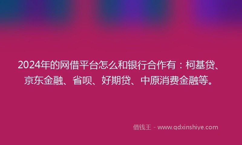 2024年的网借平台怎么和银行合作有：柯基贷、京东金融、省呗、好期贷、中原消费金融等。