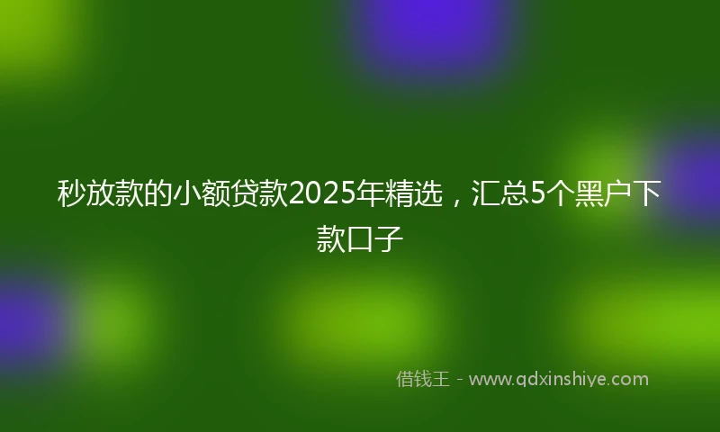 秒放款的小额贷款2025年精选，汇总5个黑户下款口子
