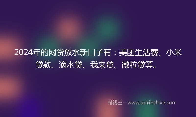 2024年的网贷放水新口子有：美团生活费、小米贷款、滴水贷、我来贷、微粒贷等。