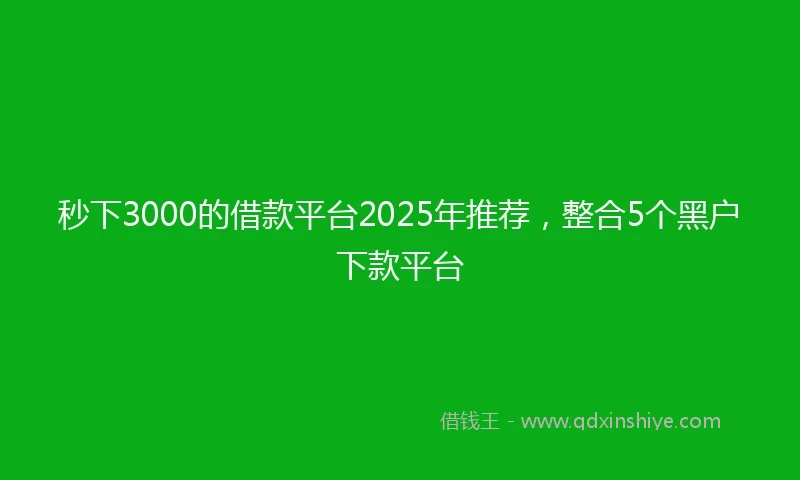 秒下3000的借款平台2025年推荐，整合5个黑户下款平台
