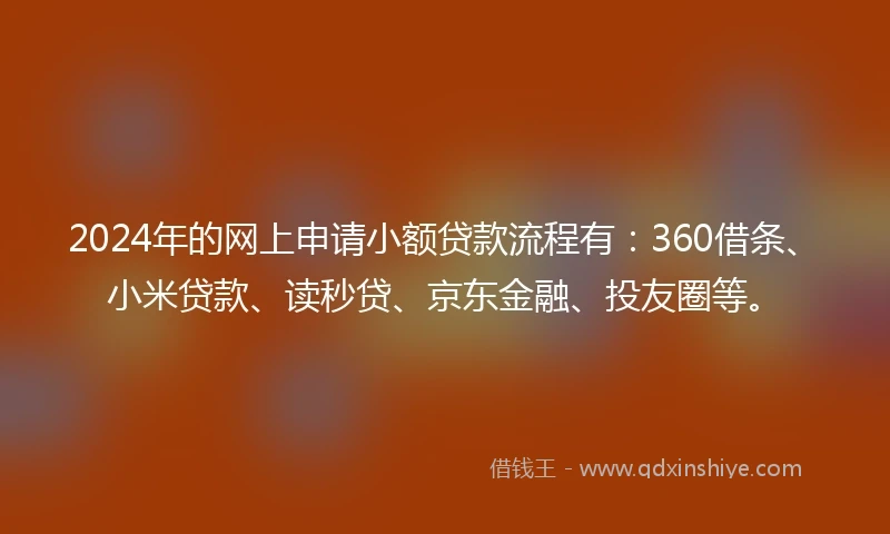 2024年的网上申请小额贷款流程有：360借条、小米贷款、读秒贷、京东金融、投友圈等。